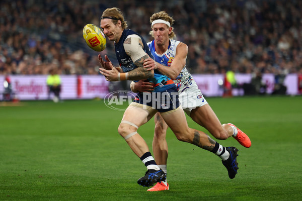 AFL 2025 Round 11 - Geelong v Western Bulldogs - A-59606709