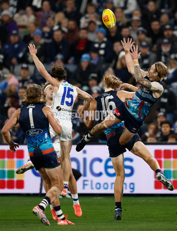 AFL 2025 Round 11 - Geelong v Western Bulldogs - A-59606751