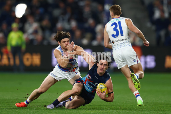 AFL 2025 Round 11 - Geelong v Western Bulldogs - A-59609107