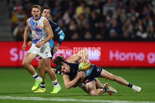 AFL 2025 Round 11 - Geelong v Western Bulldogs - A-59609108