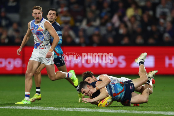 AFL 2025 Round 11 - Geelong v Western Bulldogs - A-59609110