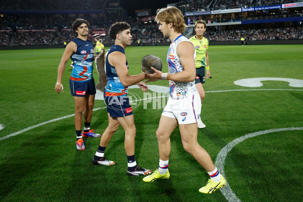AFL 2025 Round 11 - Geelong v Western Bulldogs - A-59609123
