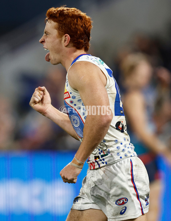 AFL 2025 Round 11 - Geelong v Western Bulldogs - A-59609181