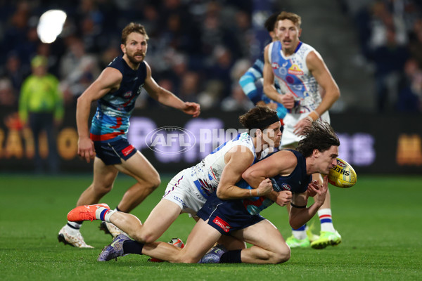 AFL 2025 Round 11 - Geelong v Western Bulldogs - A-59609493