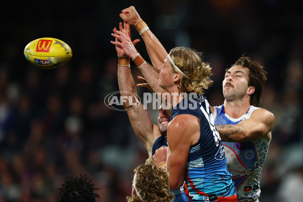 AFL 2025 Round 11 - Geelong v Western Bulldogs - A-59611356