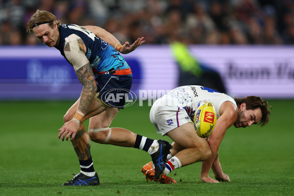 AFL 2025 Round 11 - Geelong v Western Bulldogs - A-59611360