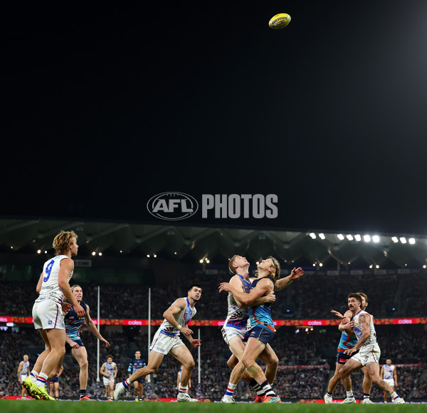 AFL 2025 Round 11 - Geelong v Western Bulldogs - A-59611393