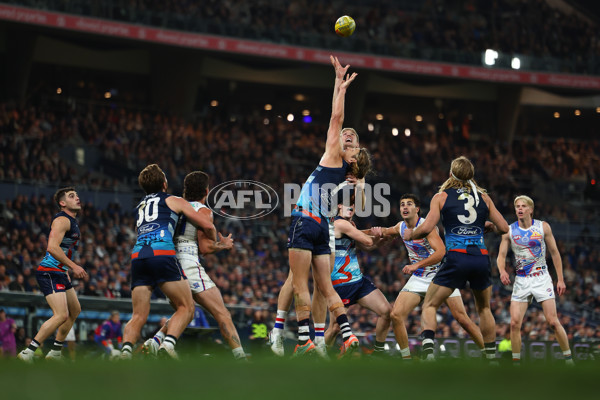 AFL 2025 Round 11 - Geelong v Western Bulldogs - A-59611394