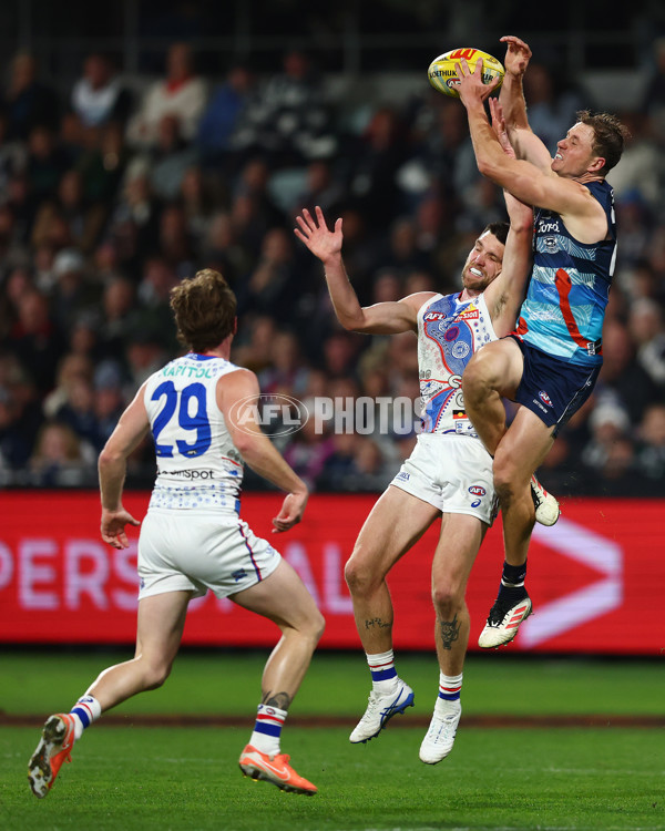 AFL 2025 Round 11 - Geelong v Western Bulldogs - A-59611407