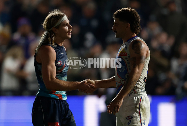 AFL 2025 Round 11 - Geelong v Western Bulldogs - A-59612019