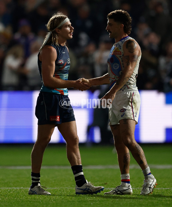 AFL 2025 Round 11 - Geelong v Western Bulldogs - A-59612020