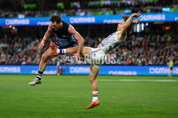 AFL 2025 Round 11 - Geelong v Western Bulldogs - A-59612052