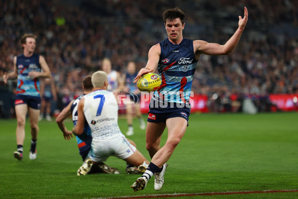 AFL 2025 Round 11 - Geelong v Western Bulldogs - A-59612054