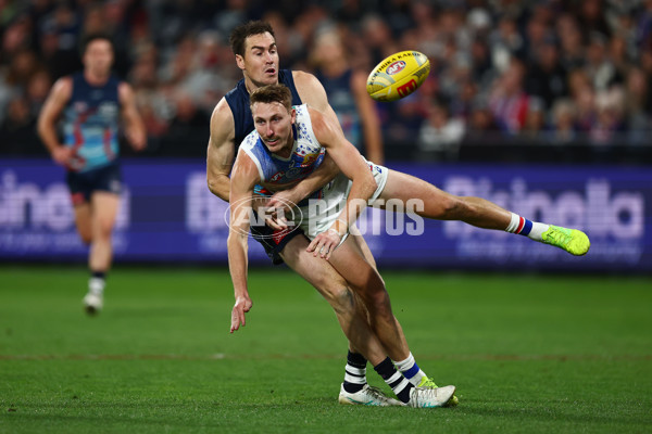 AFL 2025 Round 11 - Geelong v Western Bulldogs - A-59612060