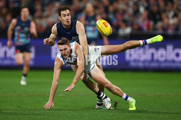 AFL 2025 Round 11 - Geelong v Western Bulldogs - A-59612063