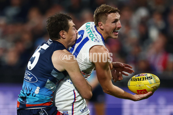 AFL 2025 Round 11 - Geelong v Western Bulldogs - A-59612066