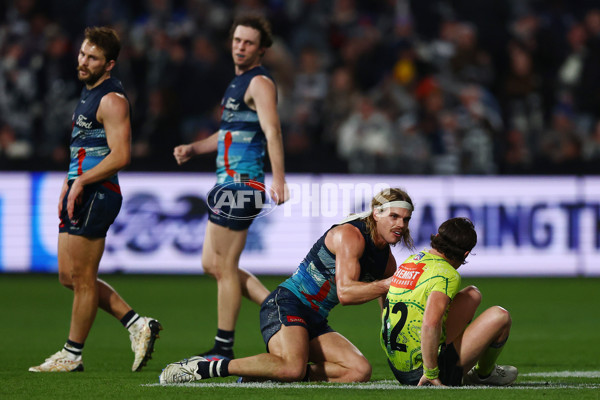 AFL 2025 Round 11 - Geelong v Western Bulldogs - A-59612104