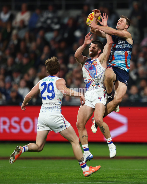 AFL 2025 Round 11 - Geelong v Western Bulldogs - A-59612107