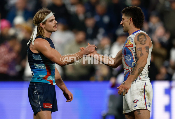 AFL 2025 Round 11 - Geelong v Western Bulldogs - A-59614664
