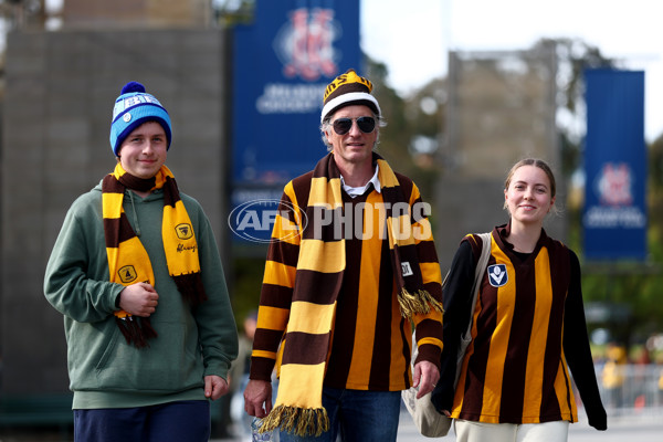AFL 2025 Round 11 - Hawthorn v Brisbane - A-59638003