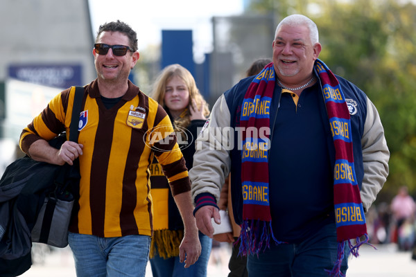 AFL 2025 Round 11 - Hawthorn v Brisbane - A-59638005