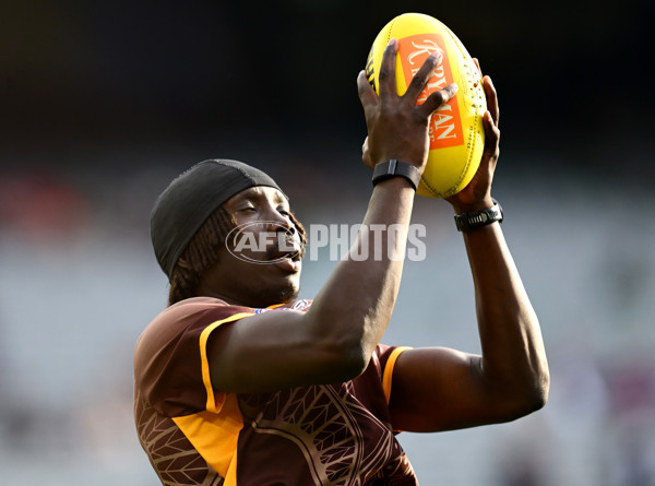 AFL 2025 Round 11 - Hawthorn v Brisbane - A-59640054