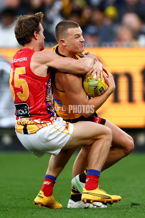AFL 2025 Round 11 - Hawthorn v Brisbane - A-59642735