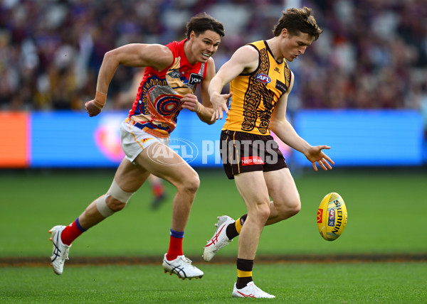 AFL 2025 Round 11 - Hawthorn v Brisbane - A-59642748