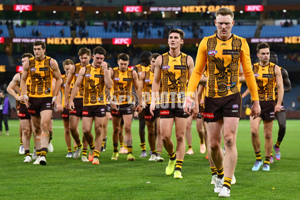 AFL 2025 Round 11 - Hawthorn v Brisbane - A-59649602