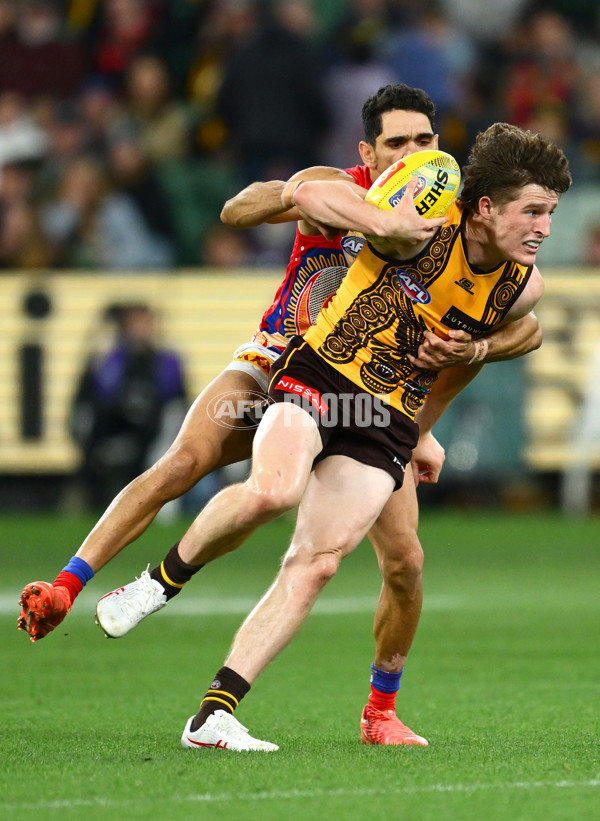AFL 2025 Round 11 - Hawthorn v Brisbane - A-59649615