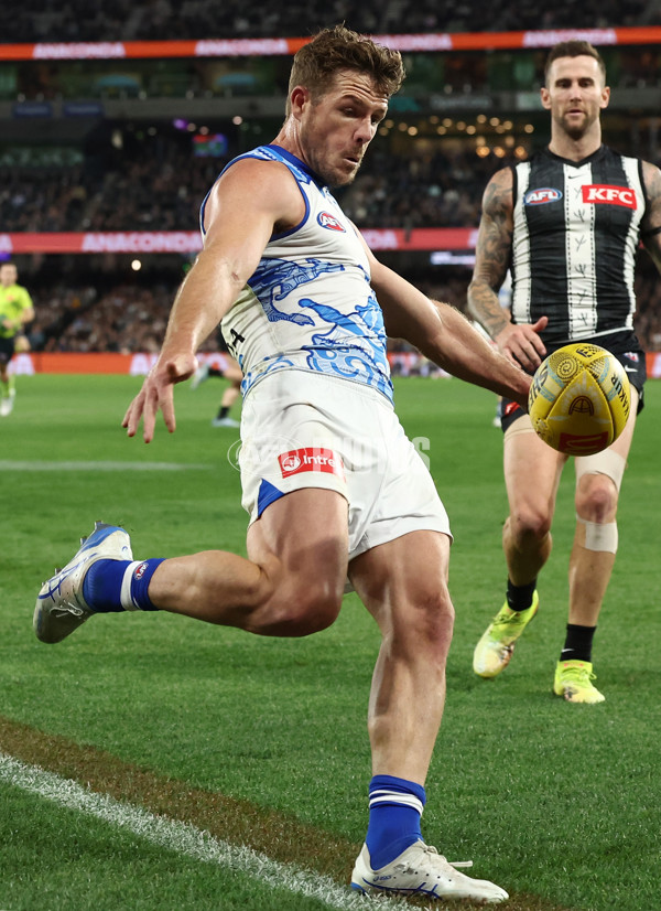 AFL 2025 Round 11 - North Melbourne v Collingwood - A-59652631