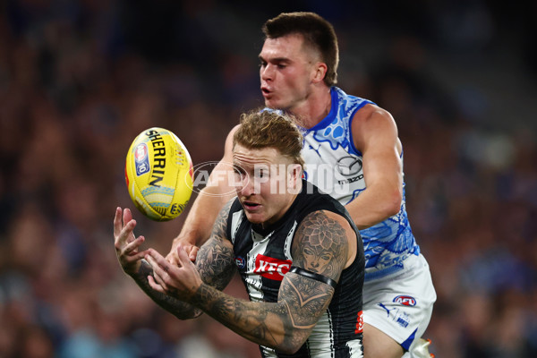 AFL 2025 Round 11 - North Melbourne v Collingwood - A-59652661