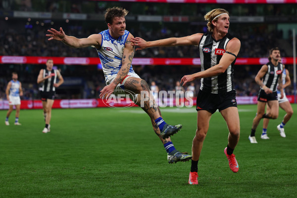 AFL 2025 Round 11 - North Melbourne v Collingwood - A-59652720