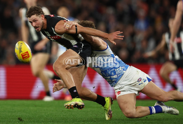 AFL 2025 Round 11 - North Melbourne v Collingwood - A-59653664