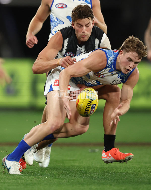 AFL 2025 Round 11 - North Melbourne v Collingwood - A-59653692