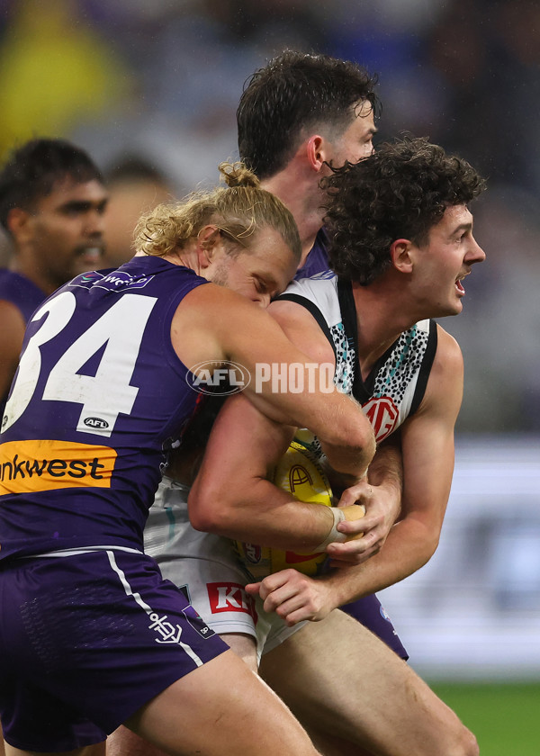 AFL 2025 Round 11 - Walyalup v Yartapuulti - A-59655237