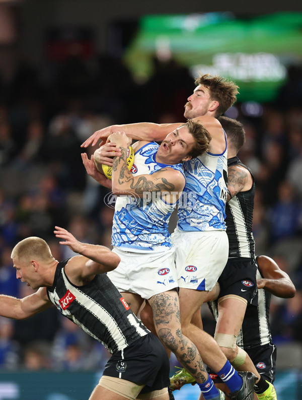 AFL 2025 Round 11 - North Melbourne v Collingwood - A-59658666