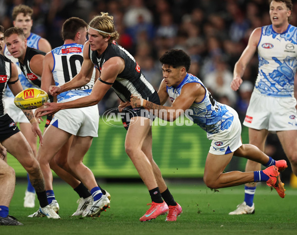 AFL 2025 Round 11 - North Melbourne v Collingwood - A-59660484