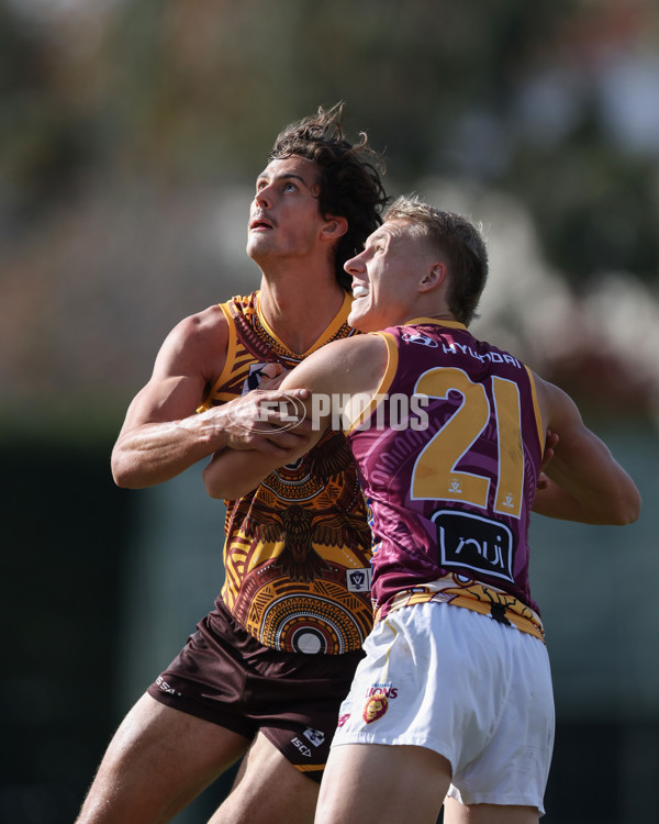VFL 2025 Round 09 - Box Hill Hawks v Brisbane Lions - A-59672295