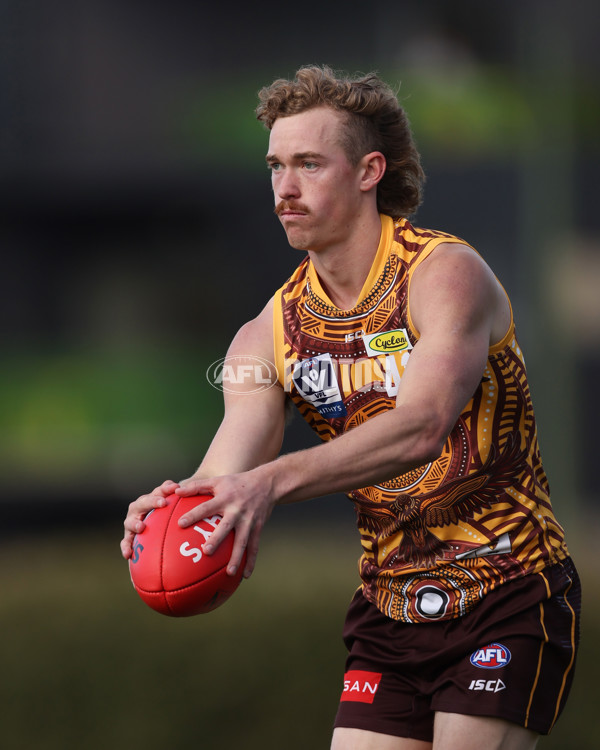 VFL 2025 Round 09 - Box Hill Hawks v Brisbane Lions - A-59673153