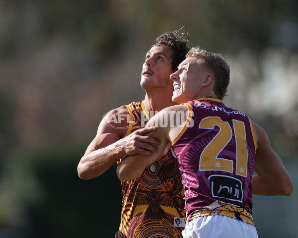 VFL 2025 Round 09 - Box Hill Hawks v Brisbane Lions - A-59673183