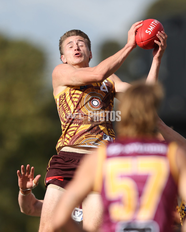 VFL 2025 Round 09 - Box Hill Hawks v Brisbane Lions - A-59673199