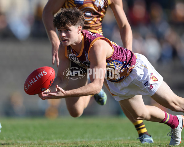 VFL 2025 Round 09 - Box Hill Hawks v Brisbane Lions - A-59673223