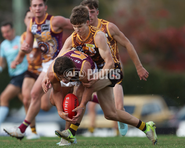 VFL 2025 Round 09 - Box Hill Hawks v Brisbane Lions - A-59675259