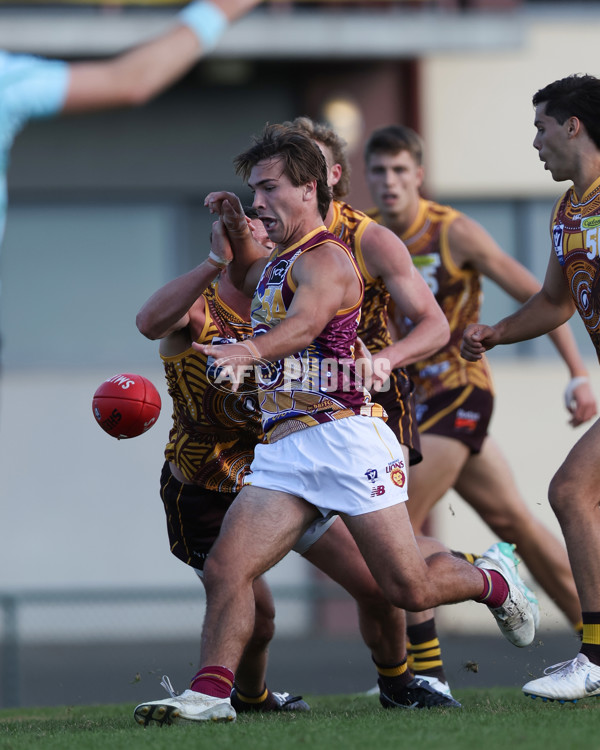 VFL 2025 Round 09 - Box Hill Hawks v Brisbane Lions - A-59675285