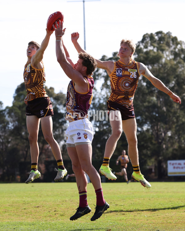 VFL 2025 Round 09 - Box Hill Hawks v Brisbane Lions - A-59675309