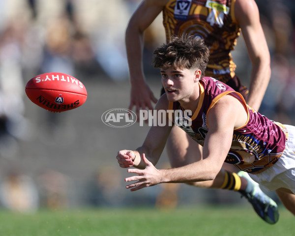 VFL 2025 Round 09 - Box Hill Hawks v Brisbane Lions - A-59676256