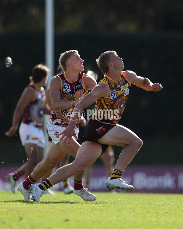 VFL 2025 Round 09 - Box Hill Hawks v Brisbane Lions - A-59676258