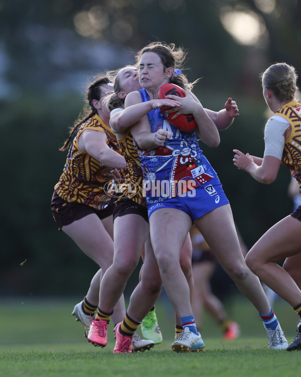 VFLW 2025 Round 06 - Box Hill Hawks v Western Bulldogs - A-59676325