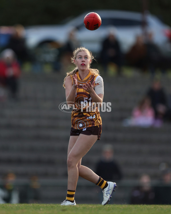 VFLW 2025 Round 06 - Box Hill Hawks v Western Bulldogs - A-59676326